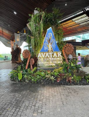 JT Motors - Echoes of Excellence 11